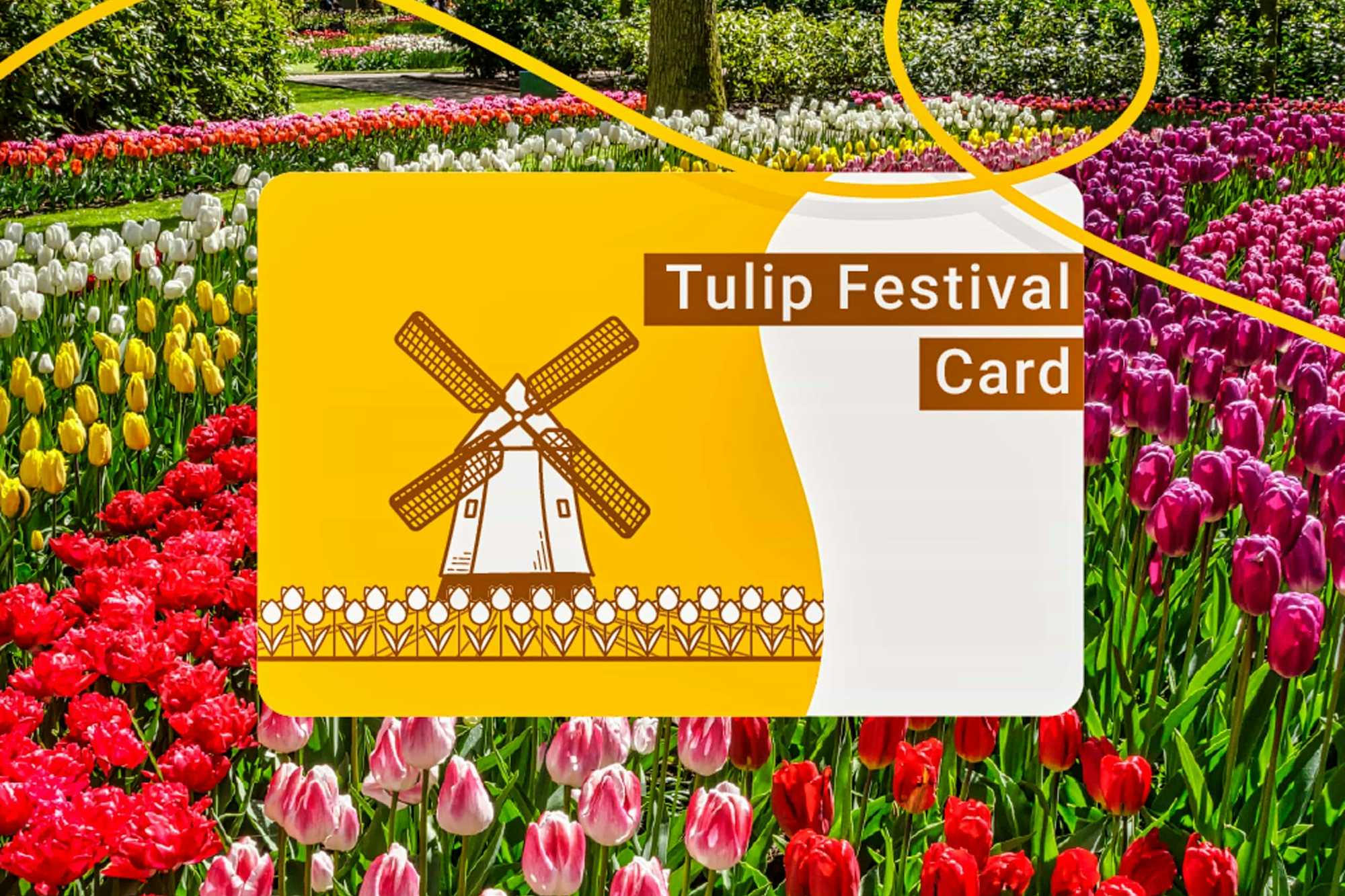 Tarjeta fiesta del Tulipán Ámsterdam