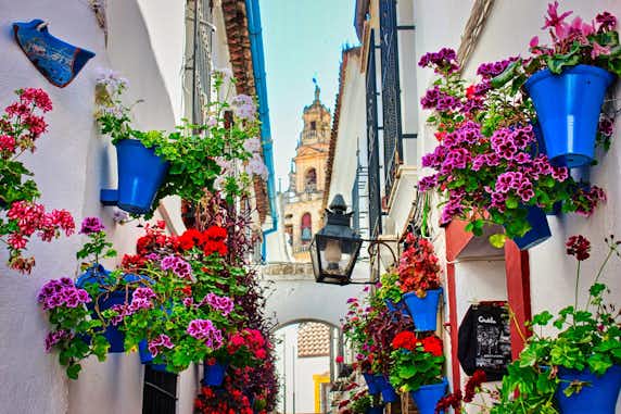 Descubriendo los patios de Córdoba: el encanto del Mayo Cordobés 10 festival patios cordobeses fiesta de los patios córdoba españa