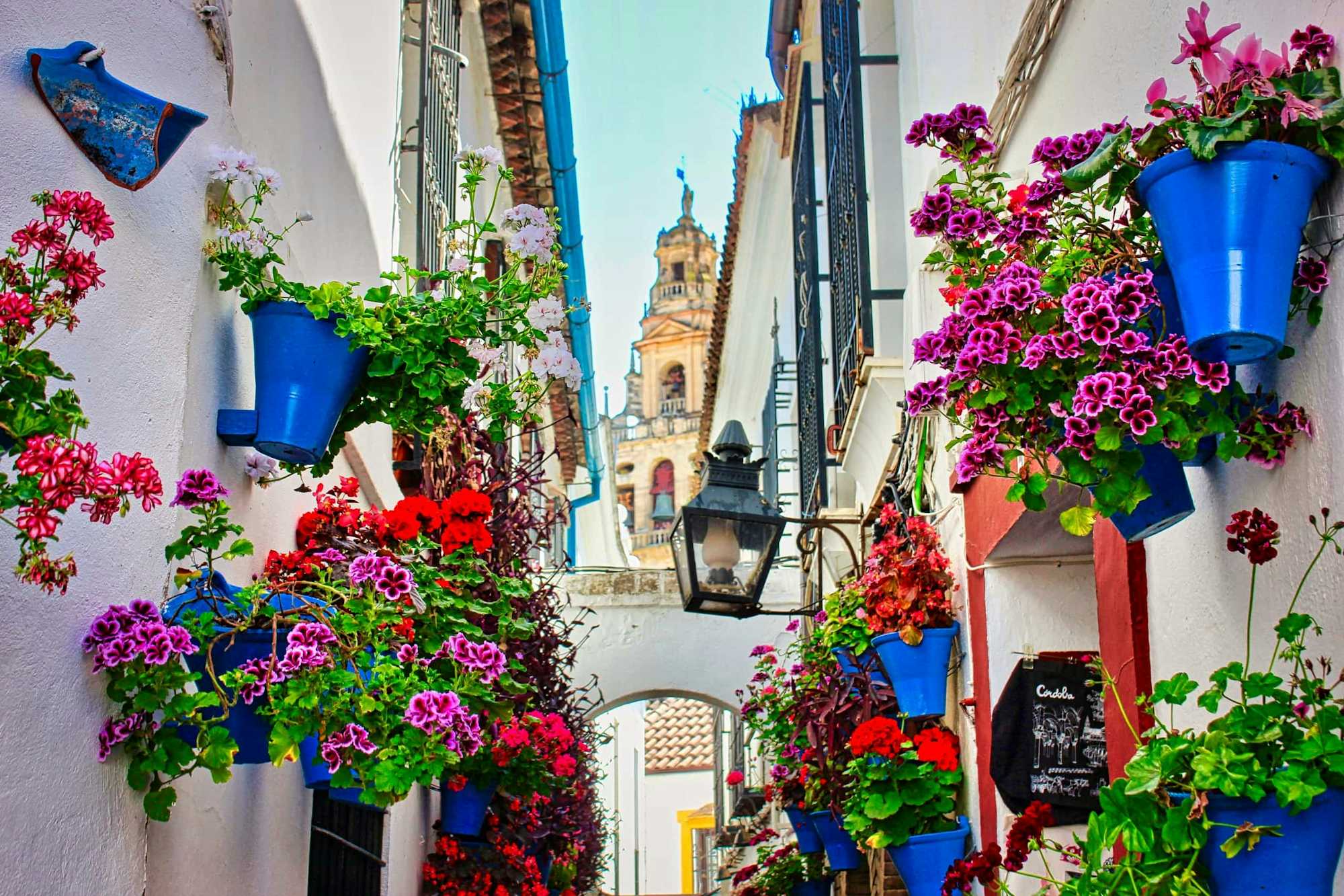 Festival patios cordobeses: Fiesta de los Patios Córdoba, España