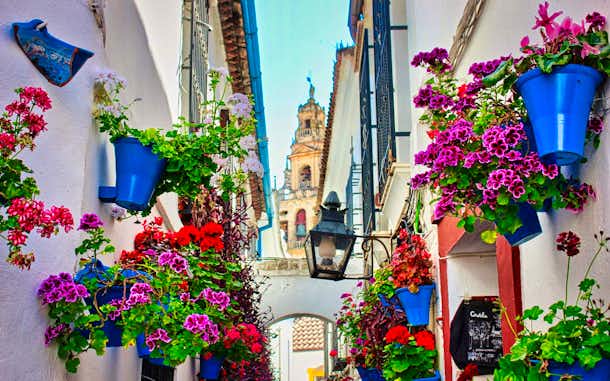Descubriendo los patios de Córdoba: el encanto del Mayo Cordobés 3 festival patios cordobeses fiesta de los patios córdoba españa