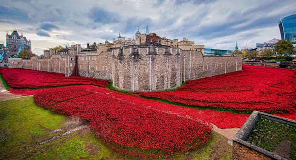Remembrance Day %currentyear%, Londres honra a sus héroes 4 Amapolas en el foso, Torre de Londres