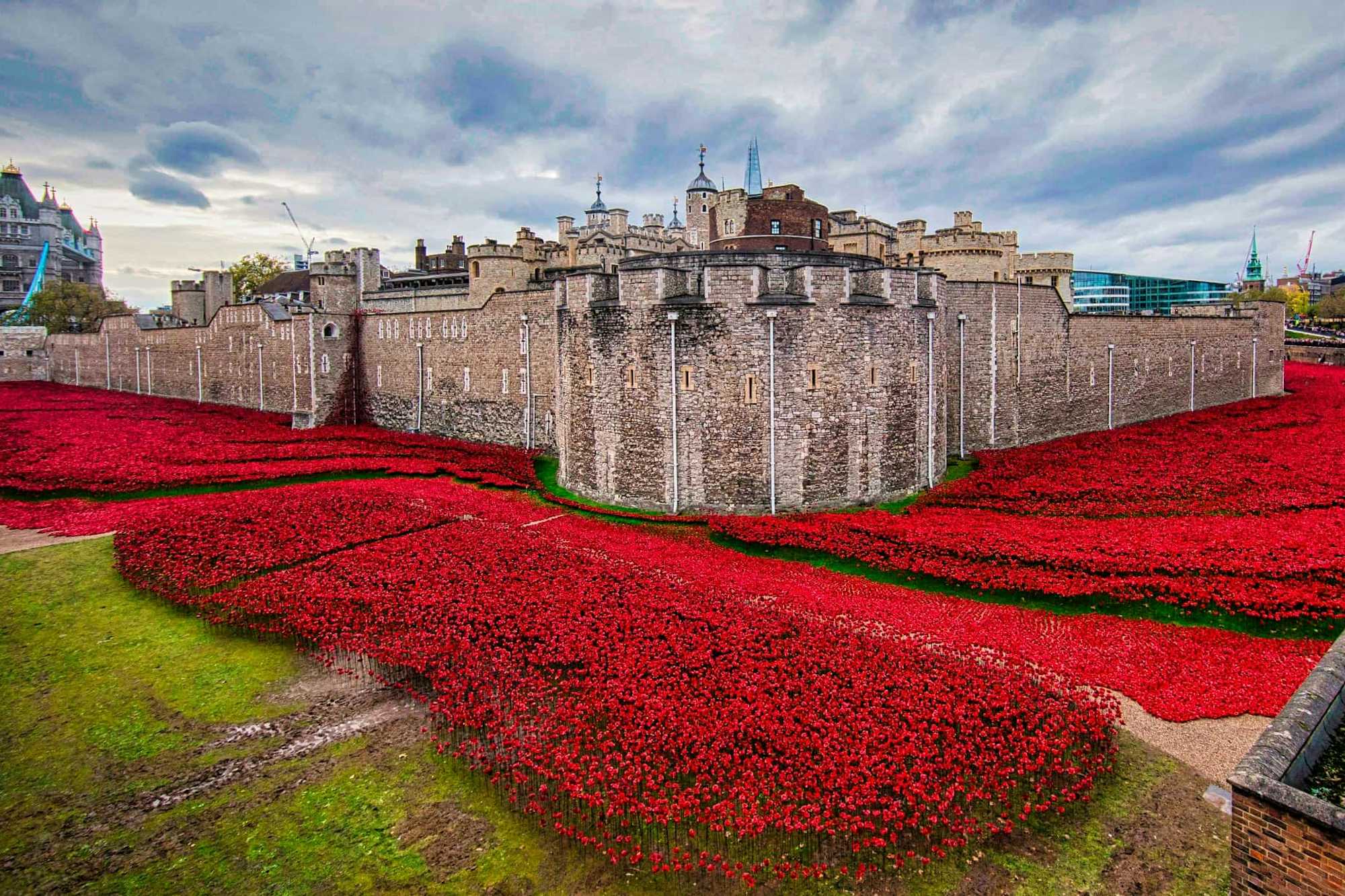 Amapolas para recordar, Torre de Londres 2014