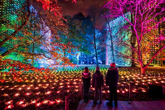 Visitar Londres en noviembre 2024, qué ver y mejores cosas que hacer 4 Londres en noviembre: navidades en los jardines de Kew
