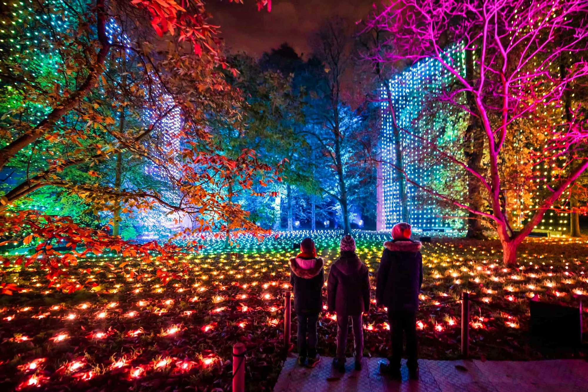 Mejores cosas que hacer en Londres en noviembre: Christmas at Kew