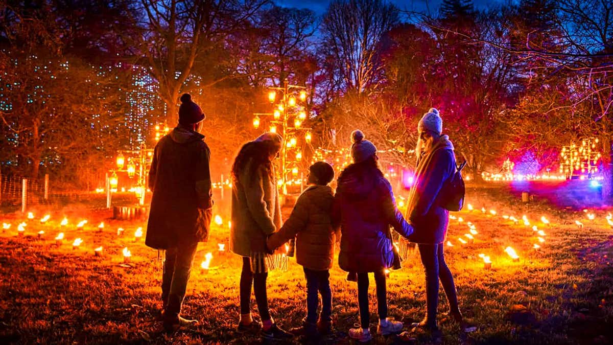 Navidad en Kew Gardens Qué hacer en Londres en Noviembre: vivir las navidades de Kew Gardens