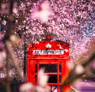 A Londres en marzo 2024: día de San Patricio, ver cerezos en flor y más de 15 mejores planes que hacer 5 cerezos en flor londres tuescapada eu