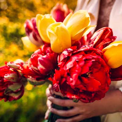 Londres en marzo: Celebra el Día de la Madre en Londres