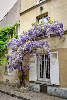 París en abril 2023: dónde ir, qué ver y cosas que hacer 4 glicinia 40 rue thermopyles paris tuescapada eu